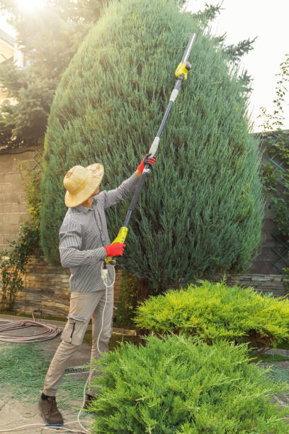 Trusted Fostoria, OH Tree Removal and Landscaping Services Experts